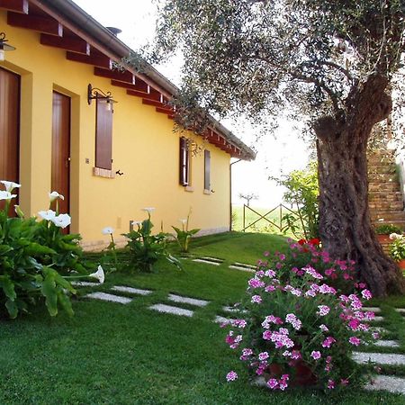 Notaresco Agriturismo Tenuta Santa Maria מראה חיצוני תמונה