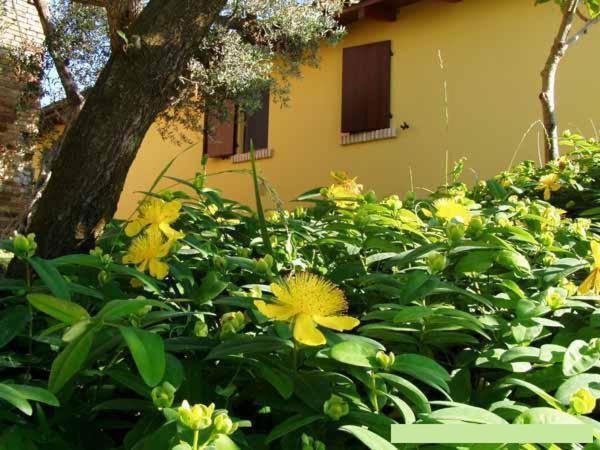 Notaresco Agriturismo Tenuta Santa Maria מראה חיצוני תמונה