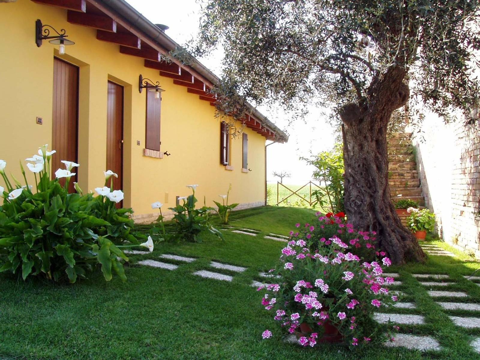 Notaresco Agriturismo Tenuta Santa Maria מראה חיצוני תמונה