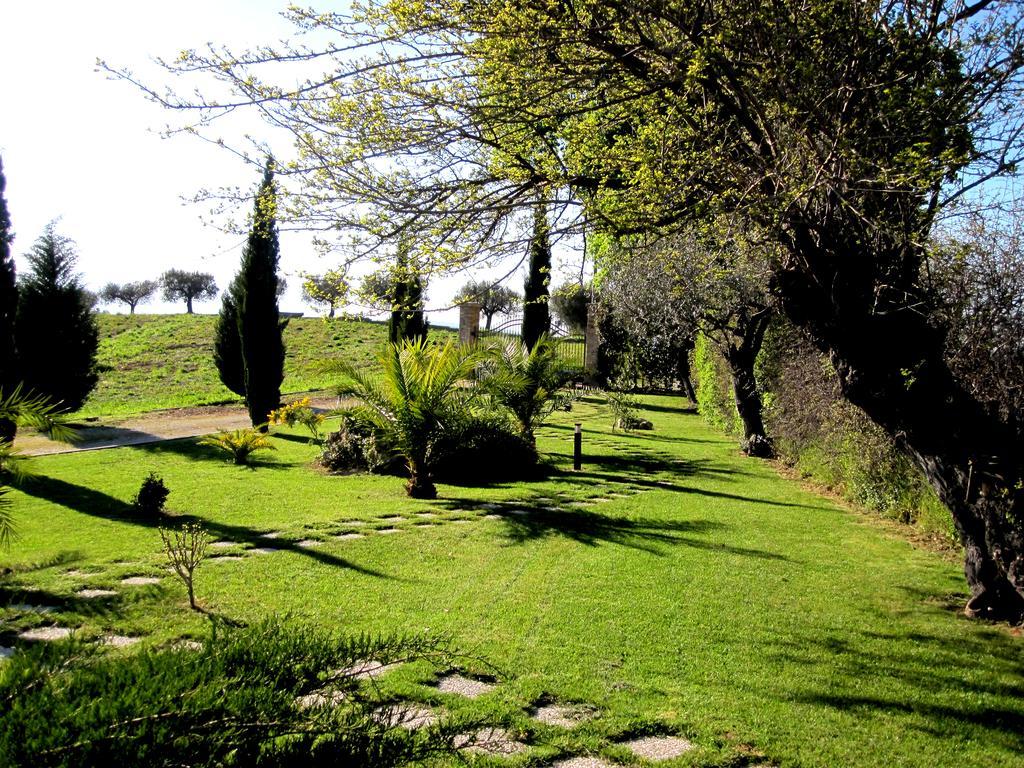 Notaresco Agriturismo Tenuta Santa Maria מראה חיצוני תמונה