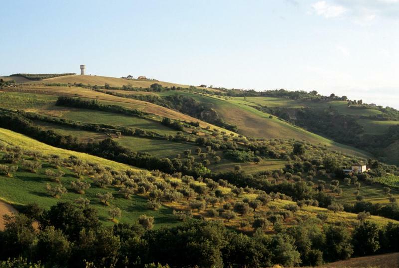 Notaresco Agriturismo Tenuta Santa Maria מראה חיצוני תמונה