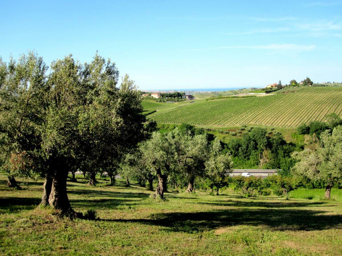 Notaresco Agriturismo Tenuta Santa Maria מראה חיצוני תמונה
