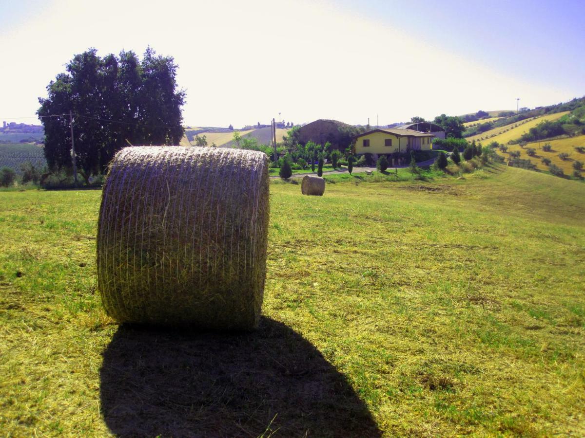 Notaresco Agriturismo Tenuta Santa Maria מראה חיצוני תמונה